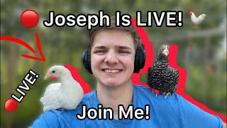 🔴I’m LIVE With My Flock! 🐓🔴Comfort And Corn!☺️🔴