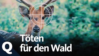 Braucht der Wald Hobby Jäger?