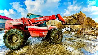 ☆ Wywalanie Obornika od Krów ☆Ścielenie☆ 2021 ☆MANITOU MLT 628 Turbo , Ładowarka w Akcji ☆