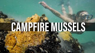 CAMPFIRE MUSSEL COOKING | Survival food from the ocean