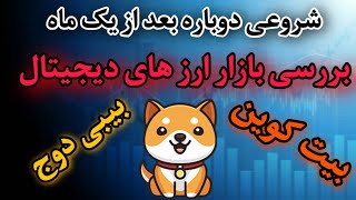 (...شروعی دوباره : بررسی بازار ارز های دیجیتال (بیبی دوج کوین و بیت کوین و