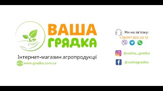 Посівний сезон відкрито! Особливості та головні правила посіву насіння квітів з "Ваша Грядка"!