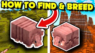 How to Find ARMADILLOS | How to Breed ARMADILLOS | Minecraft 1.20.5+ | Java & Bedrock [Easy]