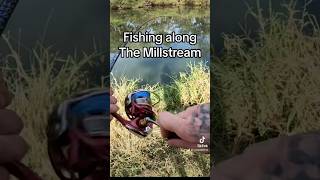 Fishing The Millstream! Out Now #fishingaustralia #australia #snagaddict