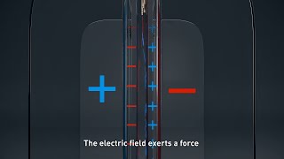 A Novel Separation Method of Disentangled Textile Fibres