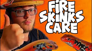 Fire Skink Care Guide