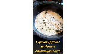 Куриная грудка с грибами в сметанном соусе в Казане!