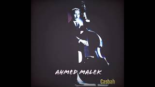 Ahmed Malek - Instrumental