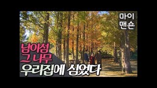 [마이맨숀]가을연가 찍고 싶다~~ 이 집 추천! Poet & Calligrapher’s Autumn house in the woods #14