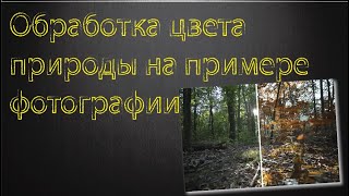 Обработка цвета природы на примере фотографии