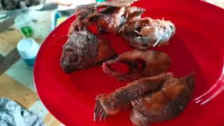 COOKING MASTER - ADOBONG OTONG W/ FISH | MASONG TV