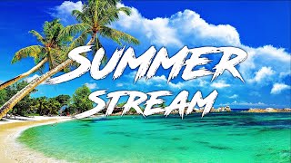 SUMMER TIME!! | Summer Livestream