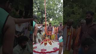 பிரம்மோற்சவத்திற்கு திருப்பதி திருக்குடை தயார் #speaktv #thirupathi #thirukudai #tirumala