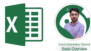 MS Excel Basics: Your Training Guide for Beginners