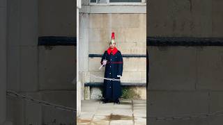 #royalkingsguards #royalguards #changingoftheguard #lifeguards #london #shorts #viralvideo #video