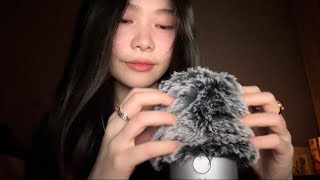 ASMR Mic Scratching & Bug Searching!🐛