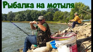 Лутугинское водохранилище | рыбалка на мотыля | хороший клёв