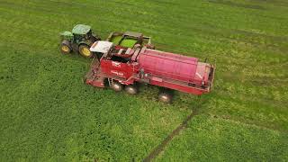 Pea Harvesters, Tasmania