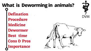 Deworming of animals | Defination, Procedure,importance, Cons & pros, Dewormer |