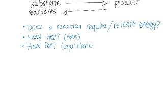 Introduction to Gibbs Free Energy