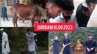 qurbani vlog 2023 | qurbani eid vlog 2023