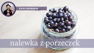 Nalewka z czarnych porzeczek i pieczeń z kota