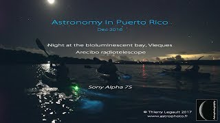 An astronomer's trip in Puerto Rico - Arecibo & starry night at the bioluminescent bay