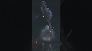 This boss fight was CRAZY... (Elden Ring Shadow of the Erdtree) | #shorts #eldenring