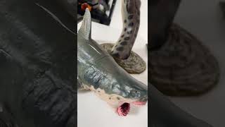 Lake Placid vs Jaws vs Anaconda #prehistoric #anaconda#crocodile#shark