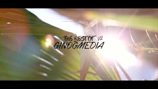 The Best of GinogMedia v2