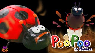 Ladybug Watery Poop!ㅣLadybug poop💩ㅣPoo Poo in natureㅣKBS Kids