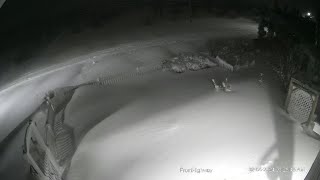 Snow Storm Nova Scotia Feb 2-5, 2024 time lapse