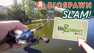 BassinBill96 BioSpawn Essentials SLAM | The Best Baits from BioSpawn!