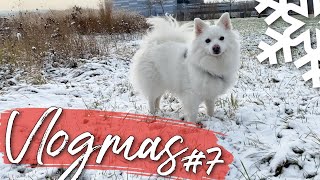 Der erste Schnee ... & wie Wally darauf reagiert / #VLOGMAS TAG 7