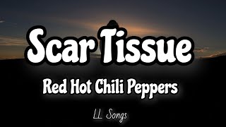 Scar Tissue (Lyrics) | Red Hot Chili Peppers