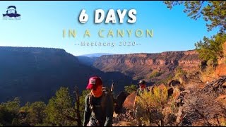 FLY FISHING IN NEW MEXICO | 6 DAYS HIKING & FISHING | DIY ADVENTURE ( Meat Hang Full Series)