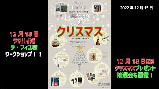 南島原市『風びより』のクリスマス｜今回は、風びよりで行われている「クリスマスディスプレイ」や18日に開催されるワークショップなどの情報をお伝えします。