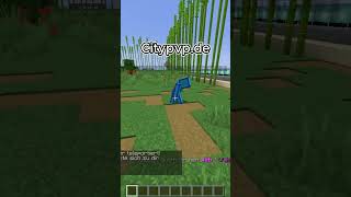 (IP: Citypvp.de) #viral #shortvideo #shorts #ytshorts #video #foryou #minecraft #gaming #fypシ #fyp