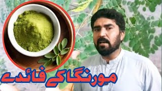 Moringa  ki Fayde| Moringa ki Fawaid| 300 Bemaryo ka ilaj| Akhtar Ayub Umarzai