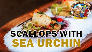 Scallops with Sea Urchin Sauce | Seafood and Uni appetizer