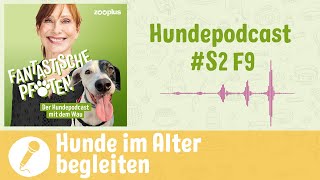 Hunde im Alter: Wie können wir sie unterstützen? | zooplus Hundepodcast # S2 F9