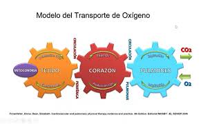 Movilización temprana y ejercicio terapéutico