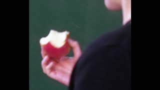 Fox Academy - Apple