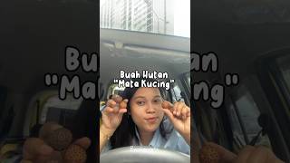 Buah hutan Mata kucing