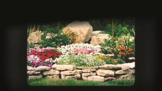 Hortus Landscaping