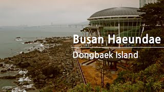 [🇰🇷-17] Haeundae Dongbaek Island Walking Tour