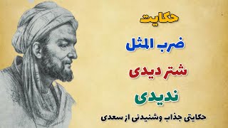 شتر دیدی ندیدی/ضرب المثل کهن فارسی