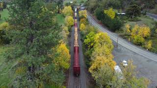 Roseburg Oregon DJI MINI 2 Train/fall colors 4K footage