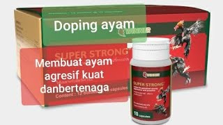 DOPING AYAM SUPER STRONG||MANFAAT DAN KEGUNAAN@cendrawasichannel6531