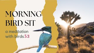 Bird Sit - Morning Meditative Birding Practice - # FIFTY THREE (#birdsit)